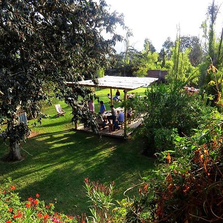 Hacienda Santa RosaLa Casa Del Tilo住宿加早餐旅馆 外观 照片